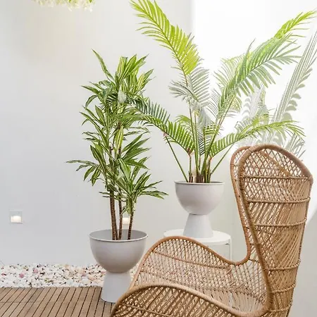 Casa Boma - Architect With Private Terrace - Alcantara Iii Apartment Lissabon